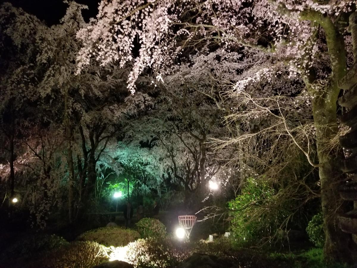 ゲストハウスoneworld Toji東寺 Kyōto